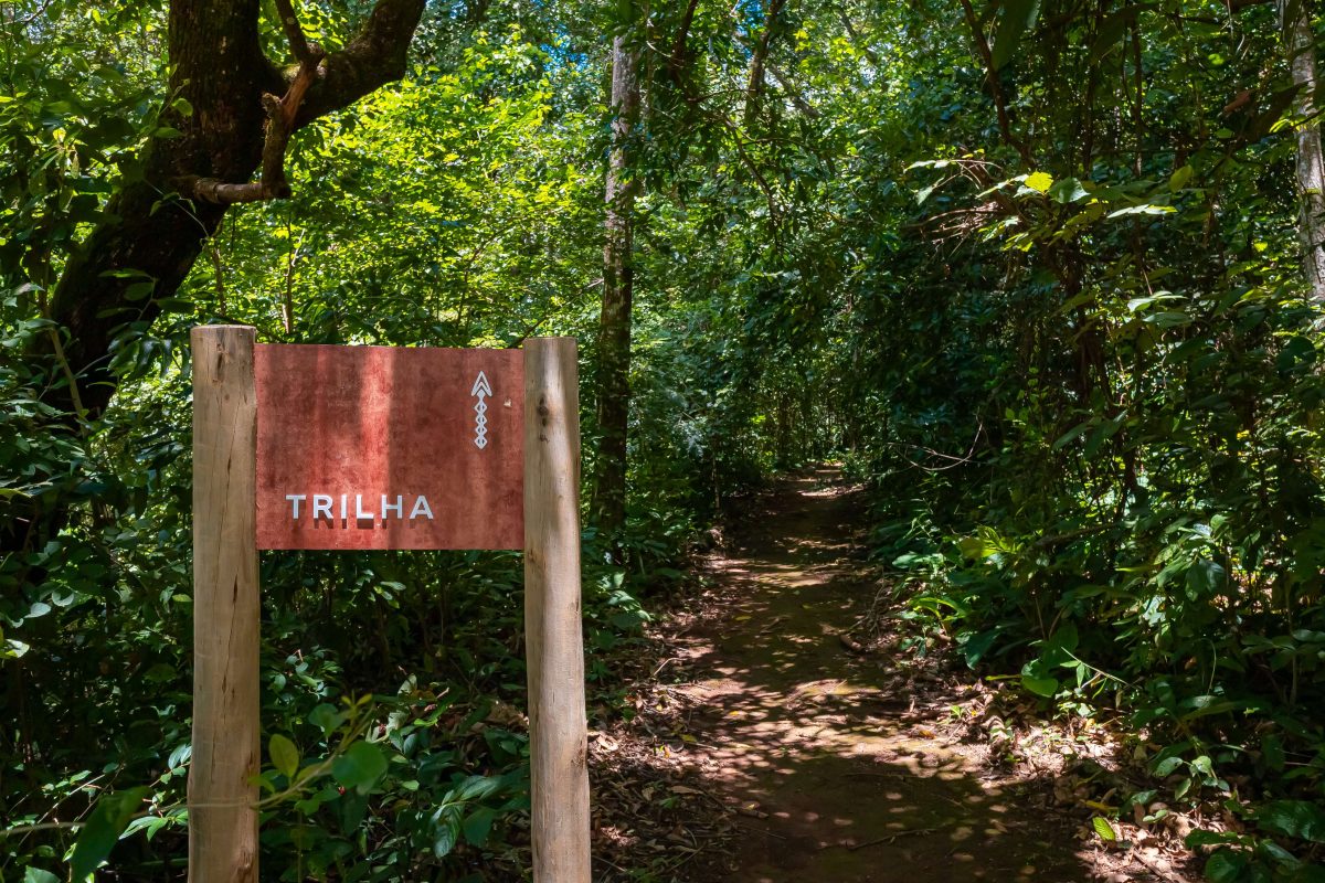 Chacara Funil, estrada bomsucesso km 2 a direita, Alto do Carmo