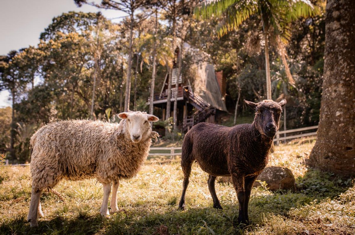 Estrada Buraco do Caranguejo, 2102 - Santa Cruz do Sul, RS, 96833-800