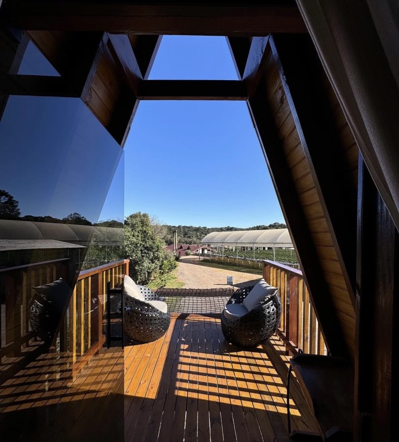 Rua Alexandre kreoniz 751