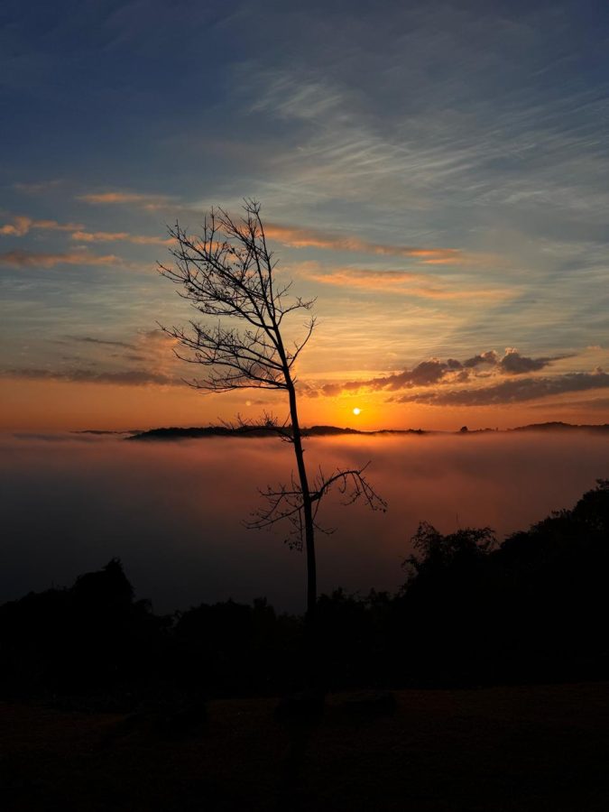 Rua: Irmã Kaefer, 365