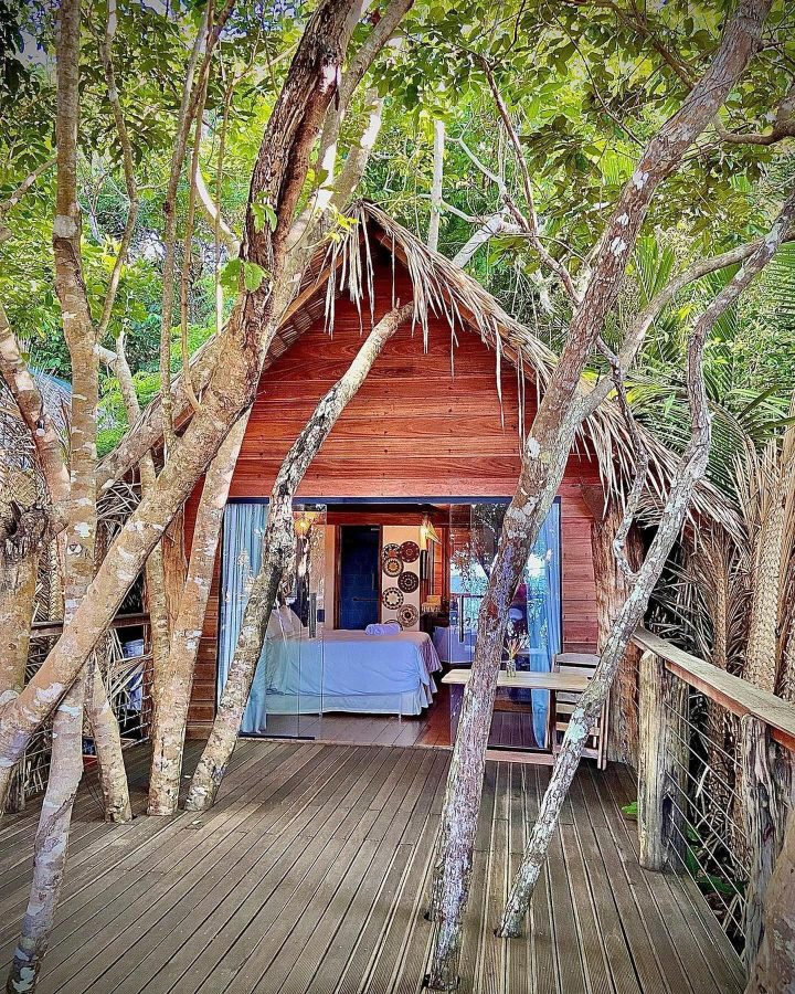 instagram.com/casadosaulobangalosdaselva