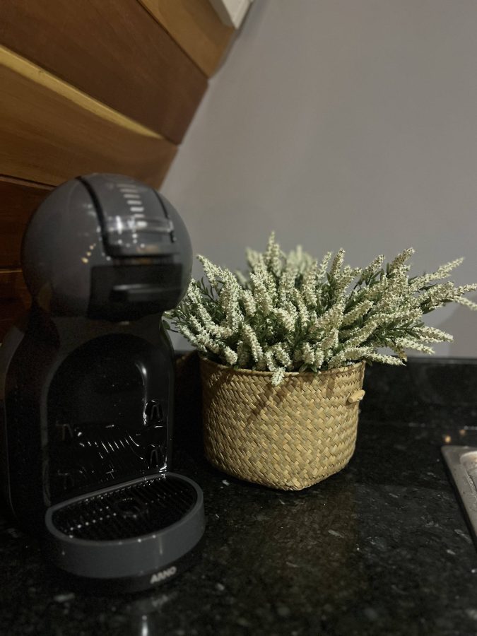 Estrada Jerônimo Ferreira Alves,3717,Manga Larga