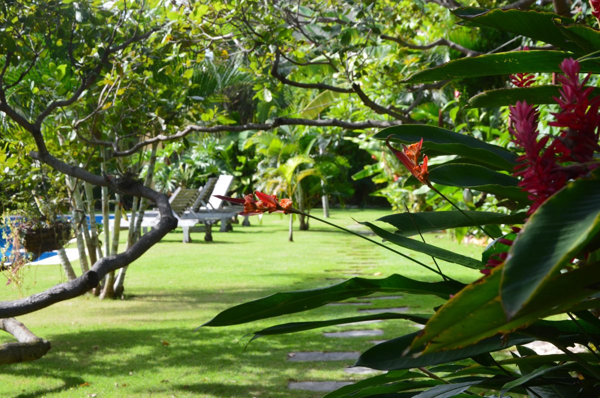 Rua José Lopes Meireles , 719. 62680000 PARACURU