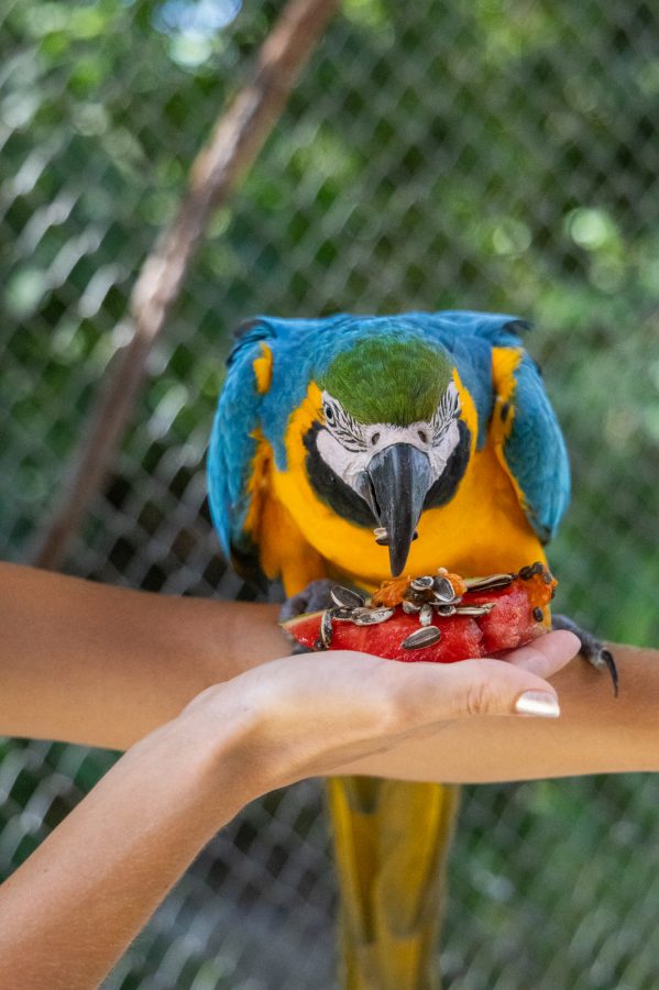 Estr. de Nova Cruz Km 03 - Cruz de Rebouças Igarassu, Pernambuco