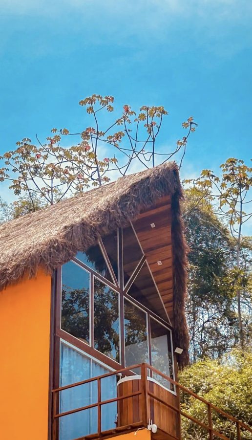 Ponta do boi- Ilha de Itacuruça