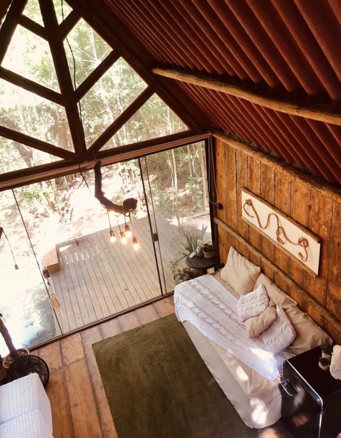 instagram.com/florestaapus