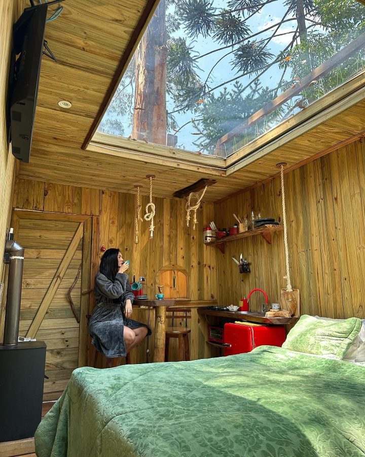 instagram.com/forestplacemonteverde