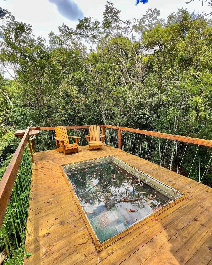 https://forestplacemonteverde.com.br/