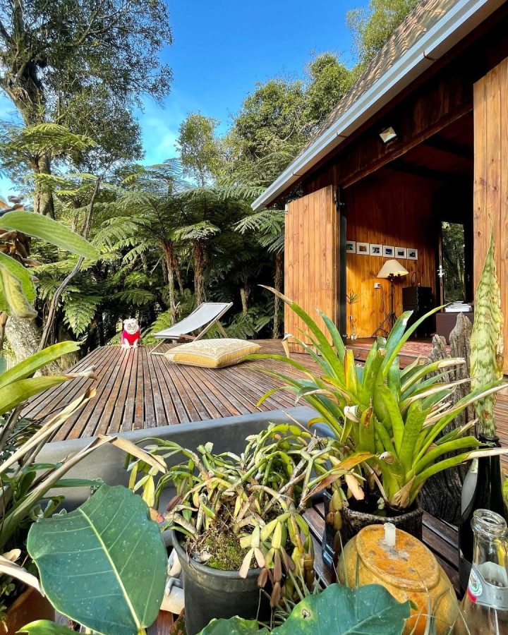 instagram.com/foxfarmhill