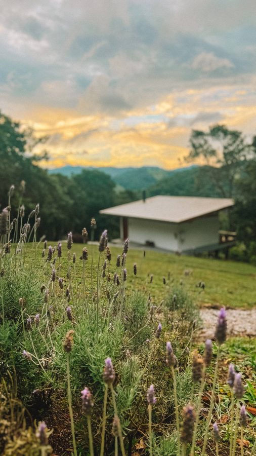 Estrada Municipal de Gonçalves, S/N