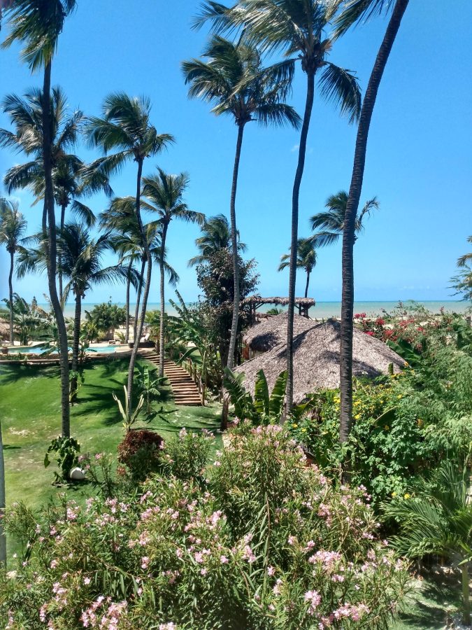 instagram.com/harapousada