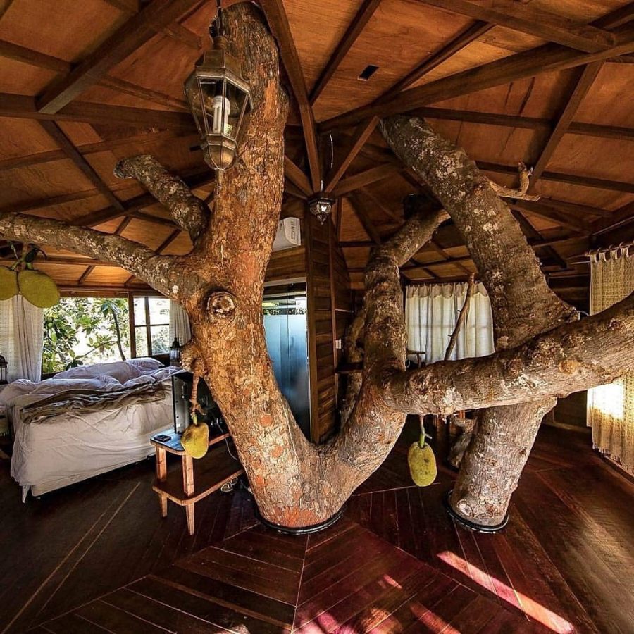 instagram.com/lendasdocapao