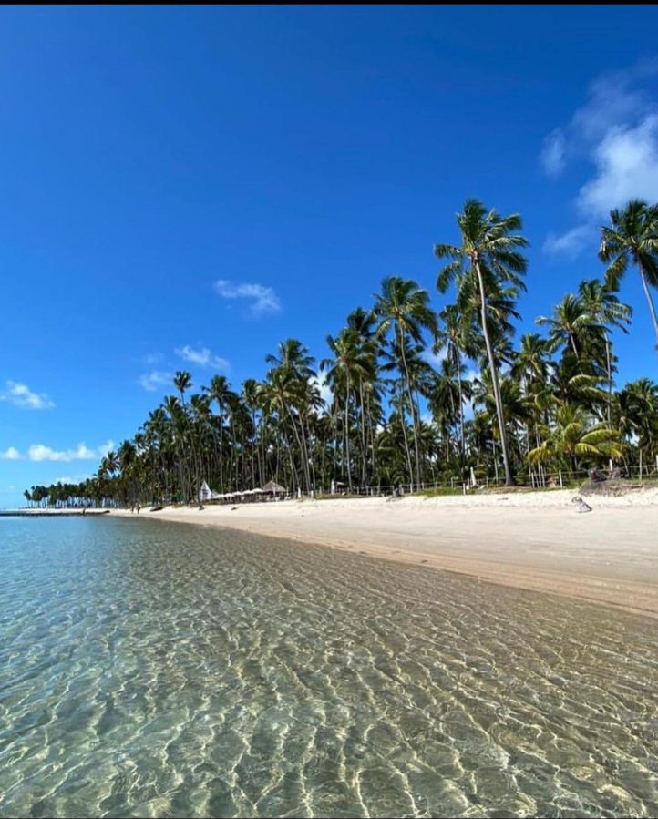 Sítio, Manguinhos, 5 - Praia dos Carneiros, Tamandaré - PE, 55578-000