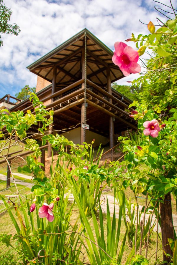 Pousada Vinhas do Pinhal