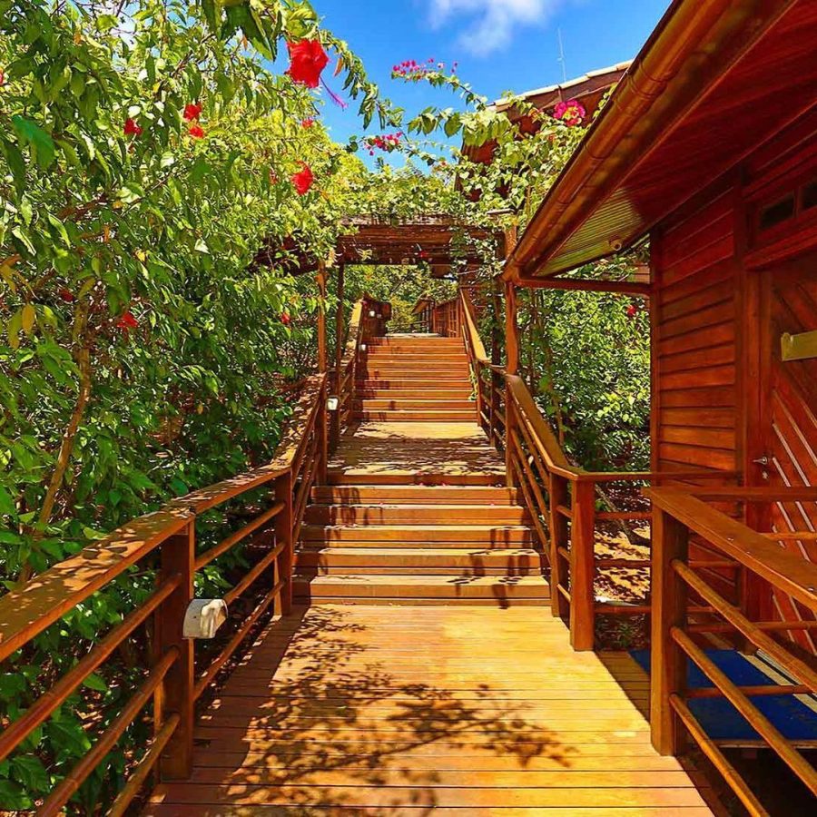 Rua Nice Cordeiro 01, Floresta Velha