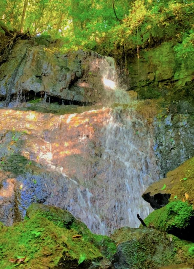 Rua Fabiano Hasckel, 3000