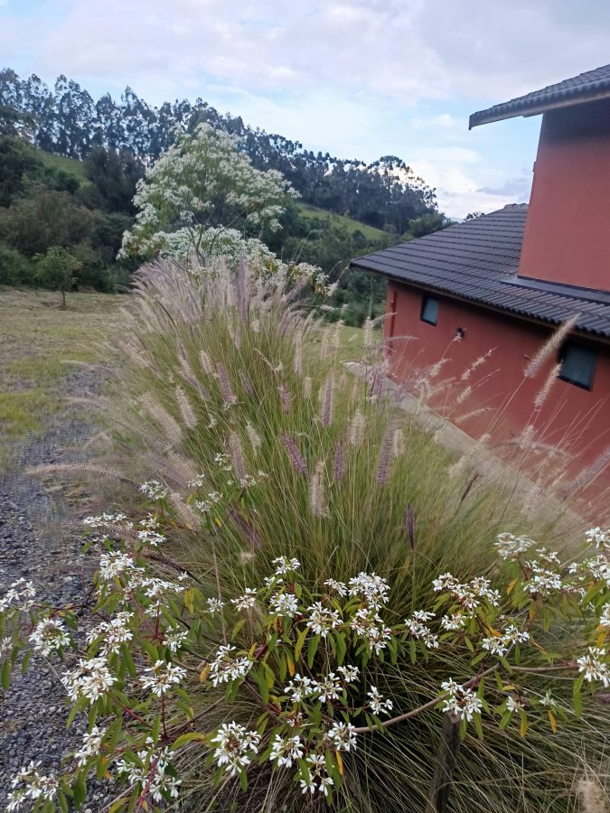 instagram.com/recantodaaurorasm