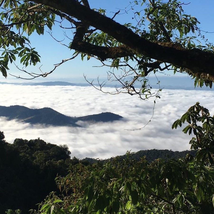 Estrada da Maromba Km 7,5