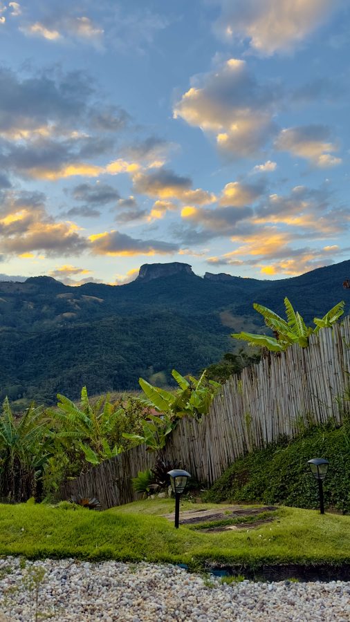 instagram.com/terramoara