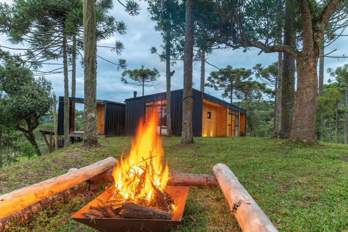 instagram.com/vivendadasaraucarias